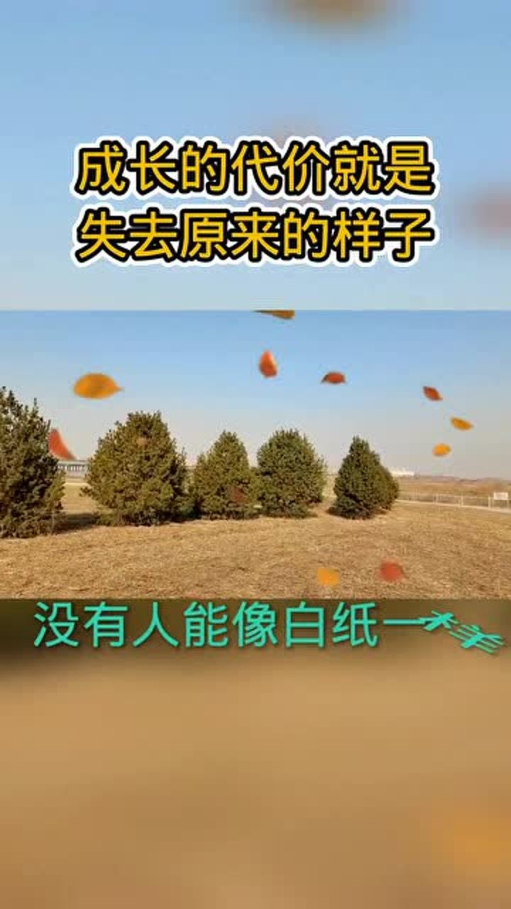 没有人能像白纸一样没有故事,成长的代价就是失去原来的样子