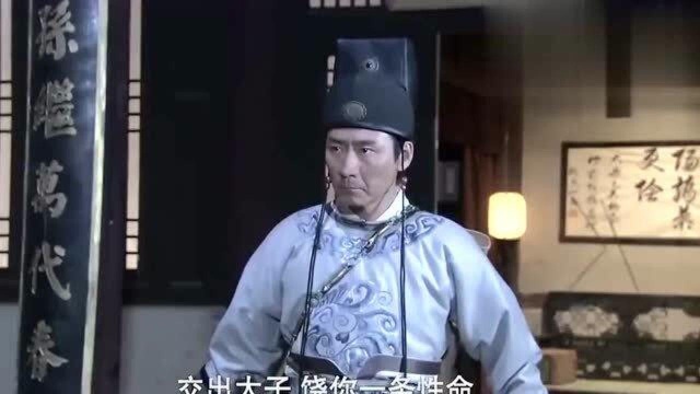 雷将军率兵打上门来,只为夺太子,谁料太子早已被调包