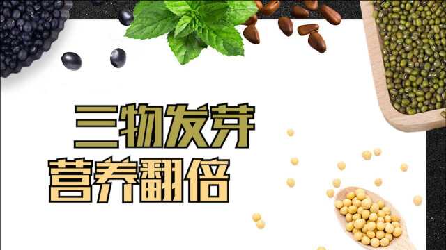 发芽的食物不能吃?这3种食物发芽后,不仅没毒,营养还翻倍