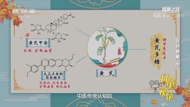 扩张血管、提高免疫力、抗疲劳等,黄芪的好处真不少!