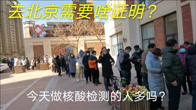 河北去往北京的公交车今天开始停运,看现在去北京需要什么证明?