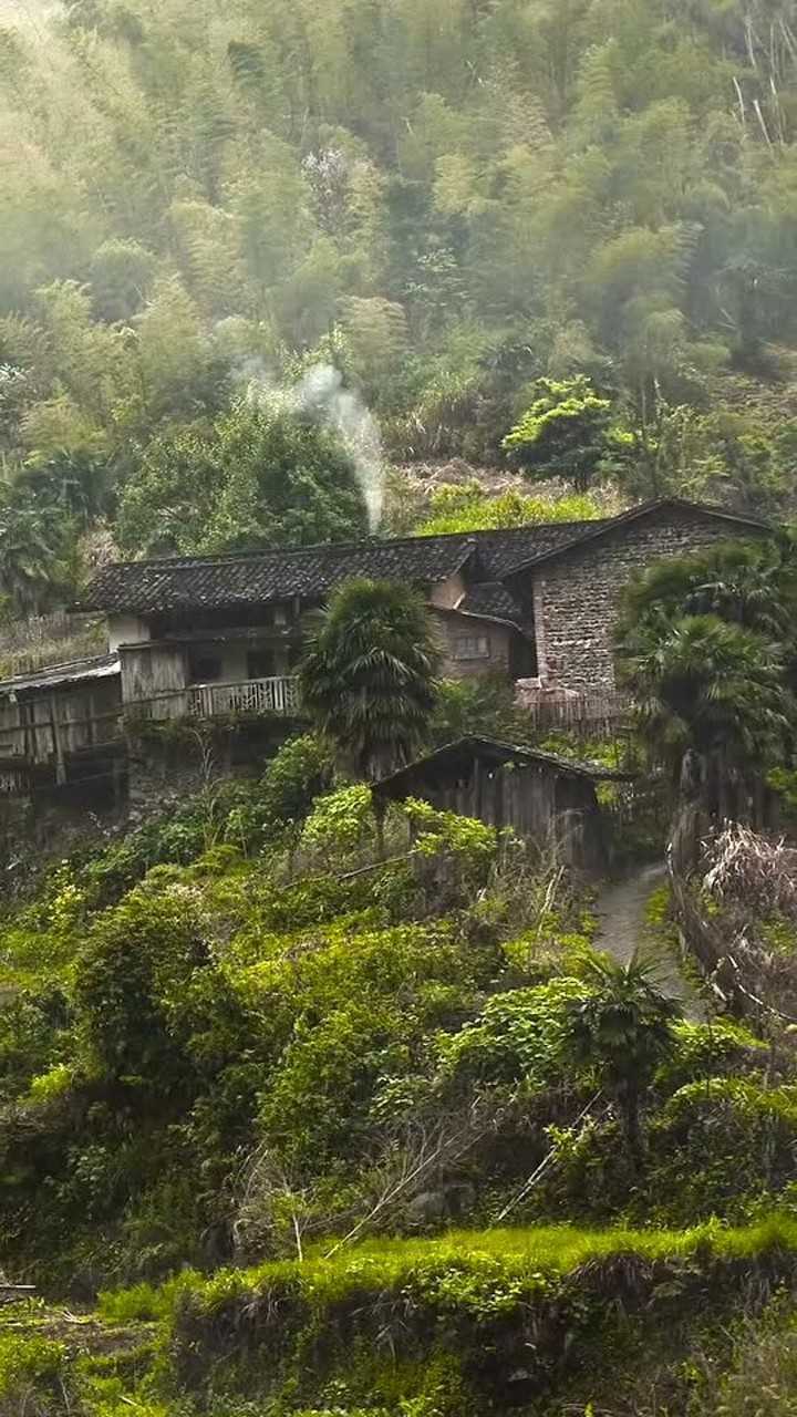 随手拍生活小时候觉得农村的生活枯燥又乏味而现在日出而作日落而息