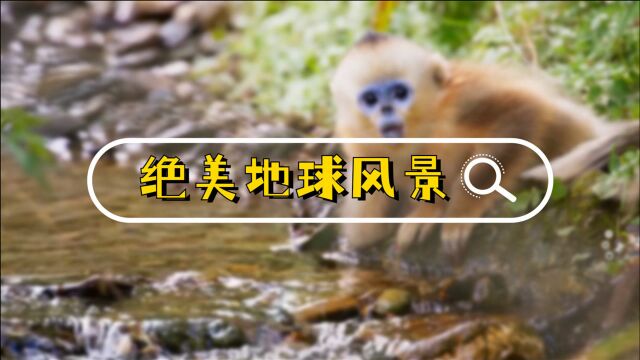 完美星球:绝美风景混剪,每一帧都能做壁纸!