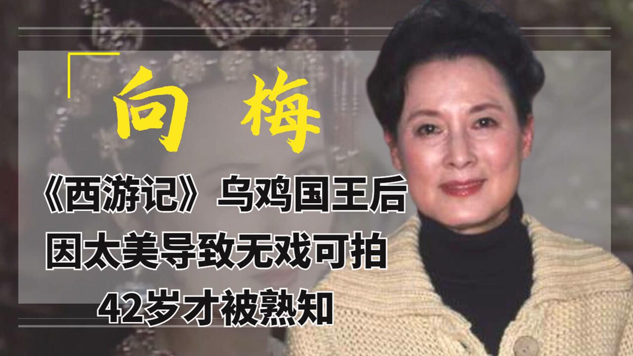 向梅:《西游记》乌鸡国王后,因太美导致无戏可拍,42岁才被熟知