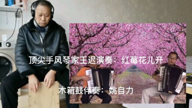 顶尖手风琴家王迟演奏:红莓花儿开