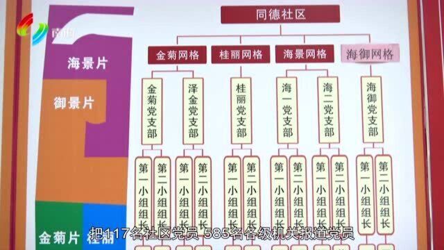 南海:用活“三级网络”基层党建显成效