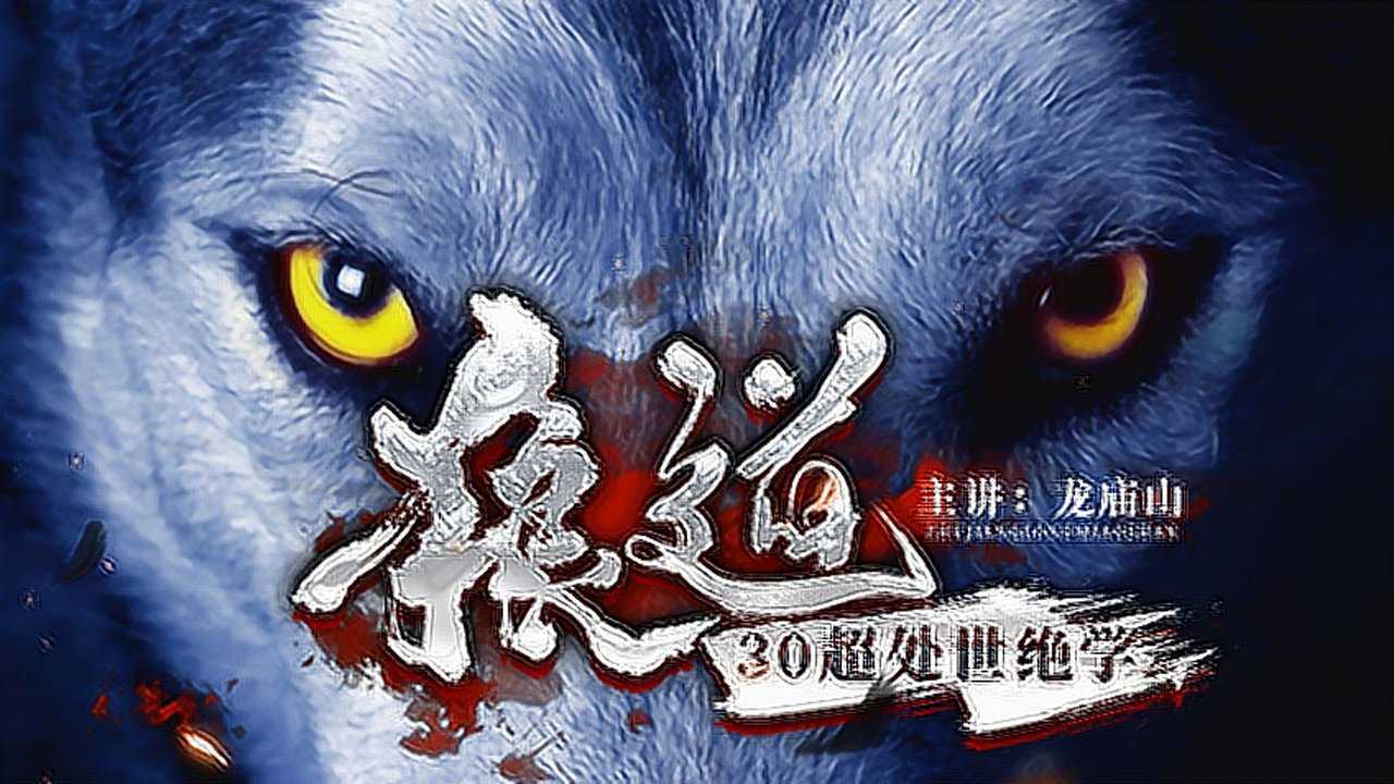 01集 狼道:选择不对,努力白费_高清1080p在线观看平台_腾讯视频