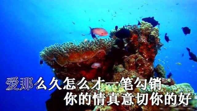 一首网络歌曲《七秒记忆》,我想出去走一走,看看这个大世界