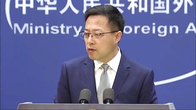 中国欧盟商会主席提议欧洲走出自满向中国学习 外交部这样回应