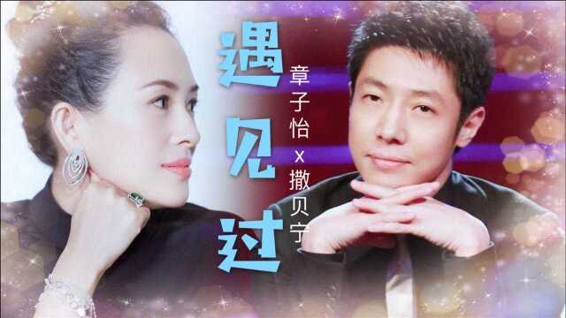 章子怡X撒贝宁 撒贝宁为什么不娶章子怡?他坦言:门当户对很重要