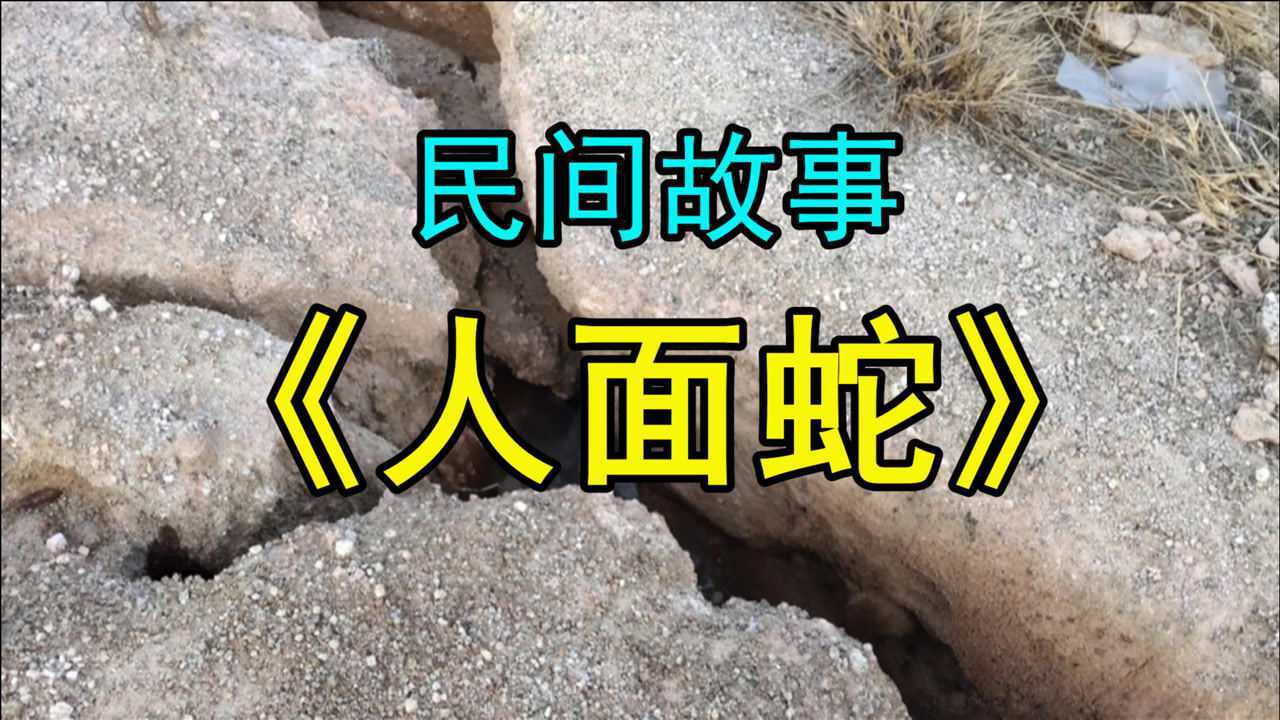 民间故事人面蛇清朝的时候宁波有一书生在广东读书