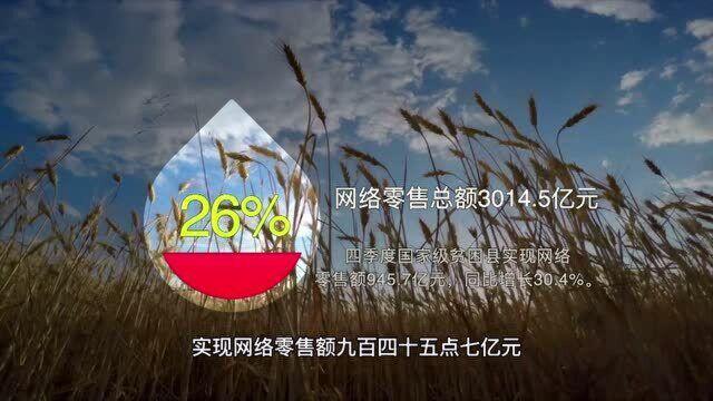 2020年全国832个国家级贫困县网络零售总额超3000亿元