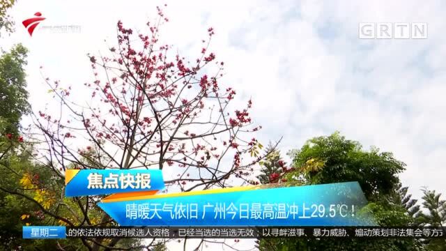 晴暖天气依旧 广州今日最高温冲上29.5℃!