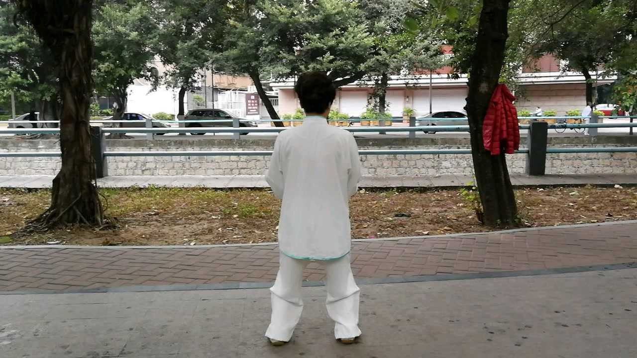 杨氏88式太极拳分段背面演练(1)_腾讯视频