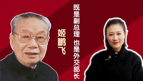 三野出了两位副总理兼外交部长，一位是陈毅，一位是姬鹏飞