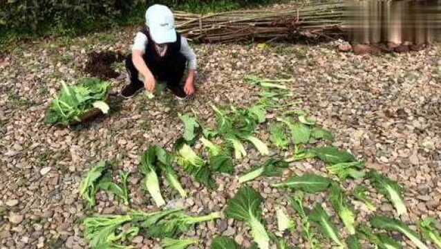 剥下来的莴笋皮,城里拿它当垃圾,在农村做成美食后,一斤值30块