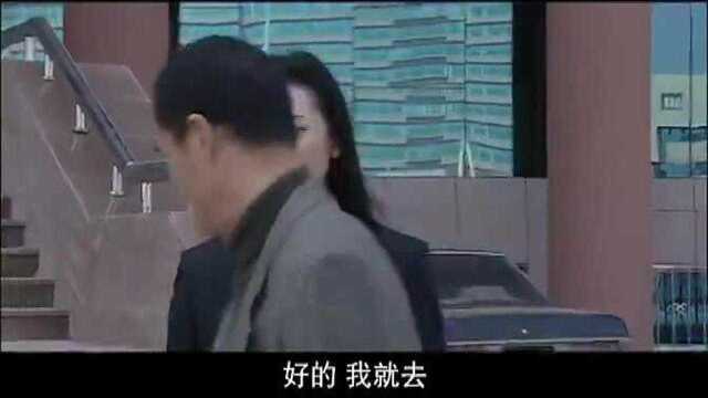 执行局长:市长瞒着公安局长,下令抓捕执行局长,哪料惊动了省长