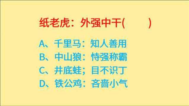 公务员考试,纸老虎比喻外强中干,哪项对应正确呢?