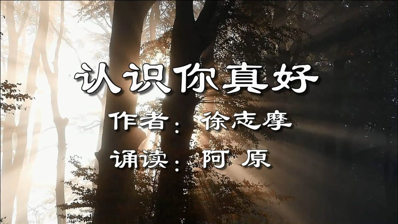 新年伊始用徐志摩这首认识你真好致谢所有一路相伴的朋友们