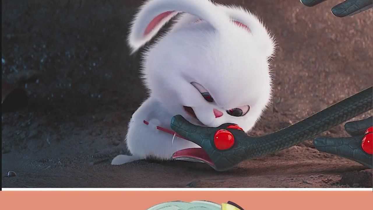 爱宠大机密2治愈 #神评即是标题