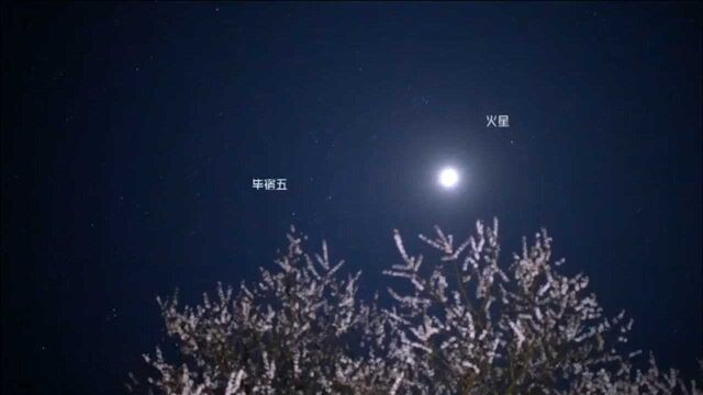 抬头有星光!重庆昨晚夜空现罕见“双星拱月”奇观