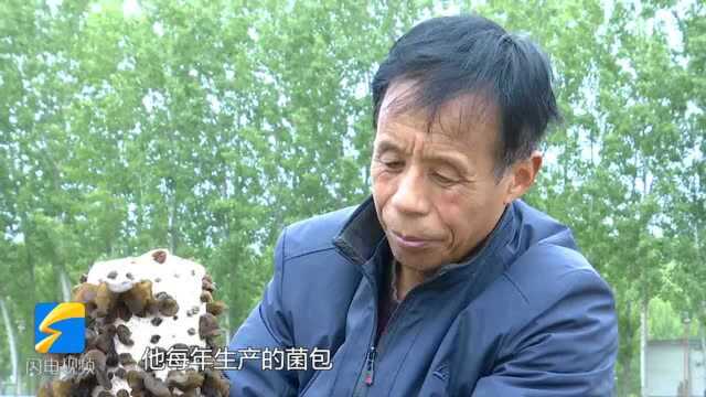 蹲点看履职|全国人大代表孔怡:把“小蘑菇”做成扶贫“大产业”