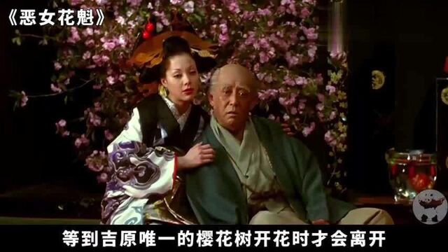 一部日本经典电影,每一帧都美到极致,让人过目难忘