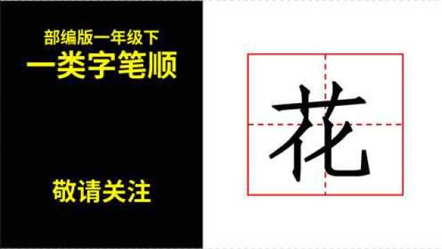 【部编版一年级下】一类字书写顺序——花