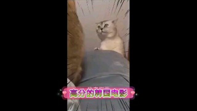 【韩国电影】高分之作