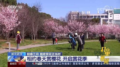 [图]阳春三月，踏青赏花正当时！跟随镜头欣赏各地春日美景