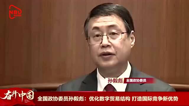 全国政协委员孙毅彪:优化数字贸易结构 打造国际竞争新优势