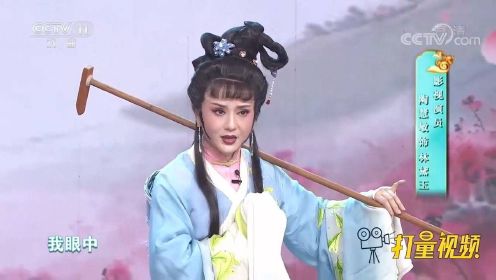 陶慧敏演绎越剧《红楼梦》，唱腔婉转，扮相可人