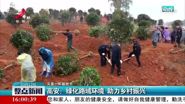 【又是一年植树节】高安:绿化路域环境 助力乡村振兴