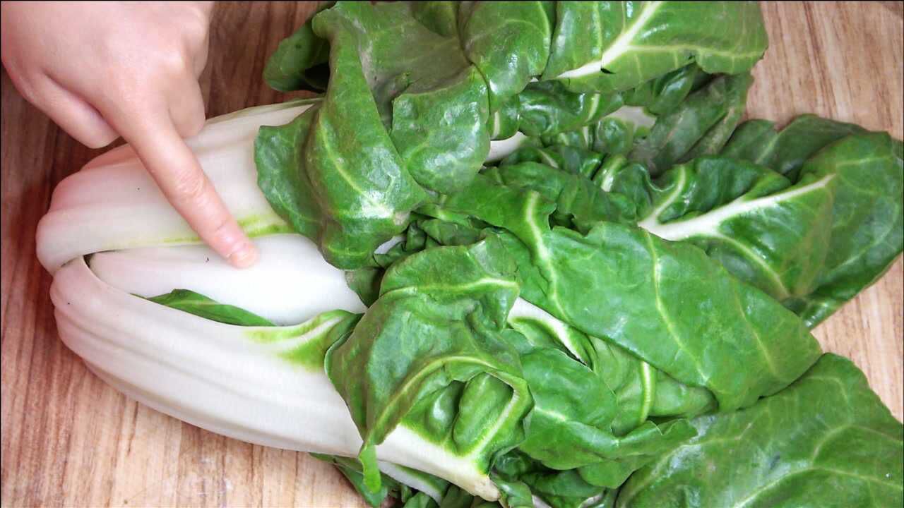 农村用来喂猪的牛皮菜,大厨教你四川特色做法,鲜香入味又下饭