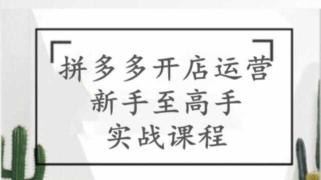 拼多多零基础免费入门教程 新手开网店运营实操课程