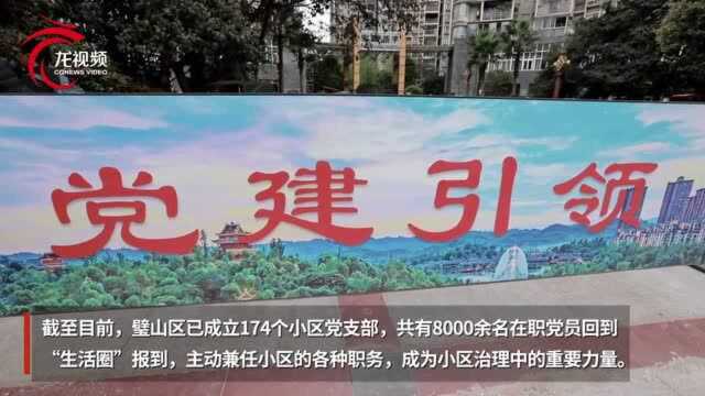 璧山,用“山”讲好小城故事③ | 治理靠山篇