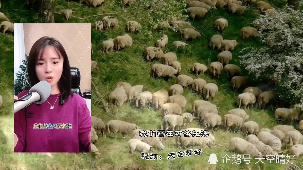 曹蓝兮那拉提的养蜂女完整版最能体现出这首歌曲的情感故事