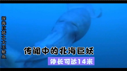 纪录片《深海巨妖》，传说中的北海巨妖，体长可达14米
