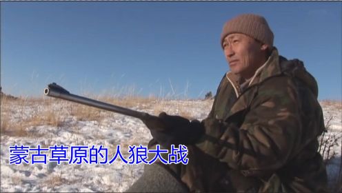 蒙古草原的人狼大战，10名猎人持枪围堵3天，只打到一只落单的狼