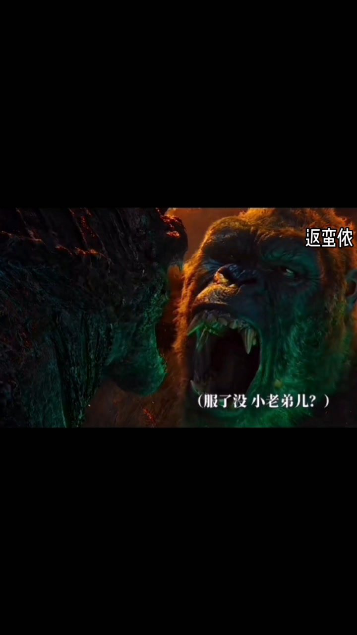 金刚给哥斯拉做核酸