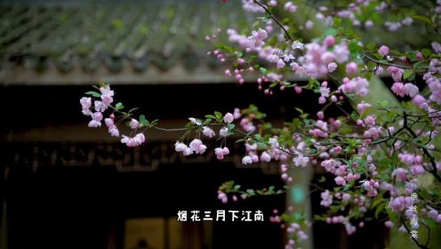 这座宝藏江南小镇——惠山古镇，也是《司藤》的取景地哦！