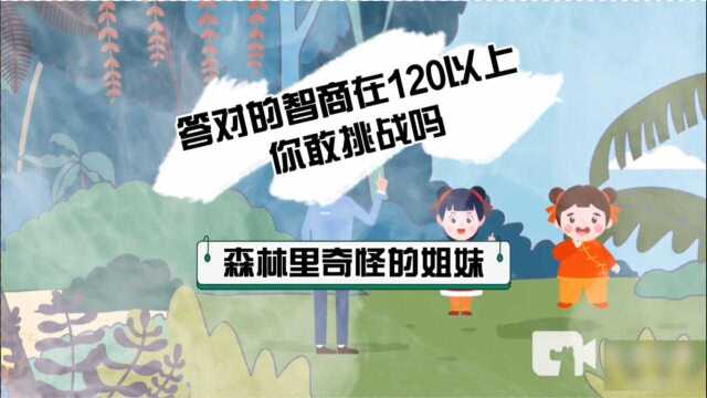 逻辑思维,世界500强的奇葩面试题,森林里奇怪的姐妹