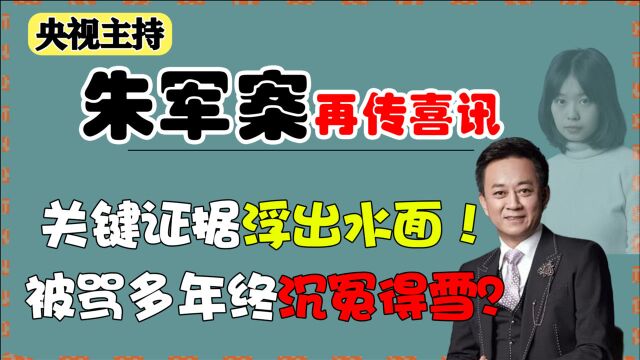 朱军案再传喜讯!关键证据浮出水面直指真凶,被骂数年终沉冤得雪