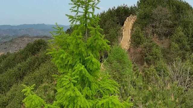 西和云华山全景