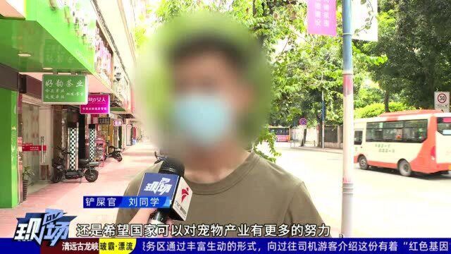 宠物盲盒重现网络 业内人士呼吁停止随意邮寄活体