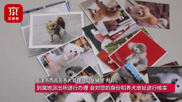 遛狗不牵绳违法!民警提示:办理犬证需准备这些资料!