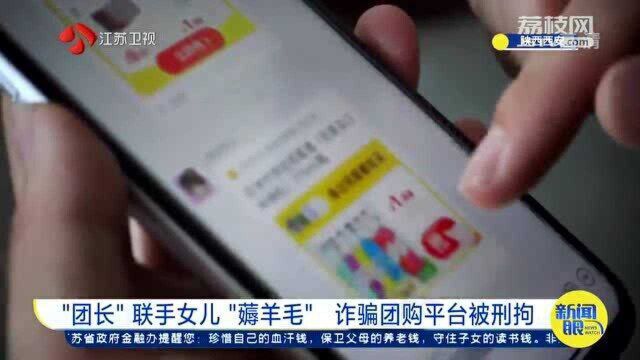 社区团购“团长”联手女儿“薅羊毛” 诈骗团购平台被刑拘