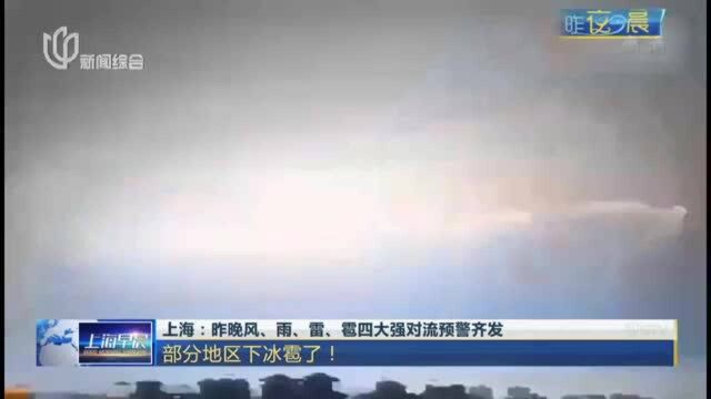 上海:昨晚风、雨、雷、雹四大强对流预警齐发