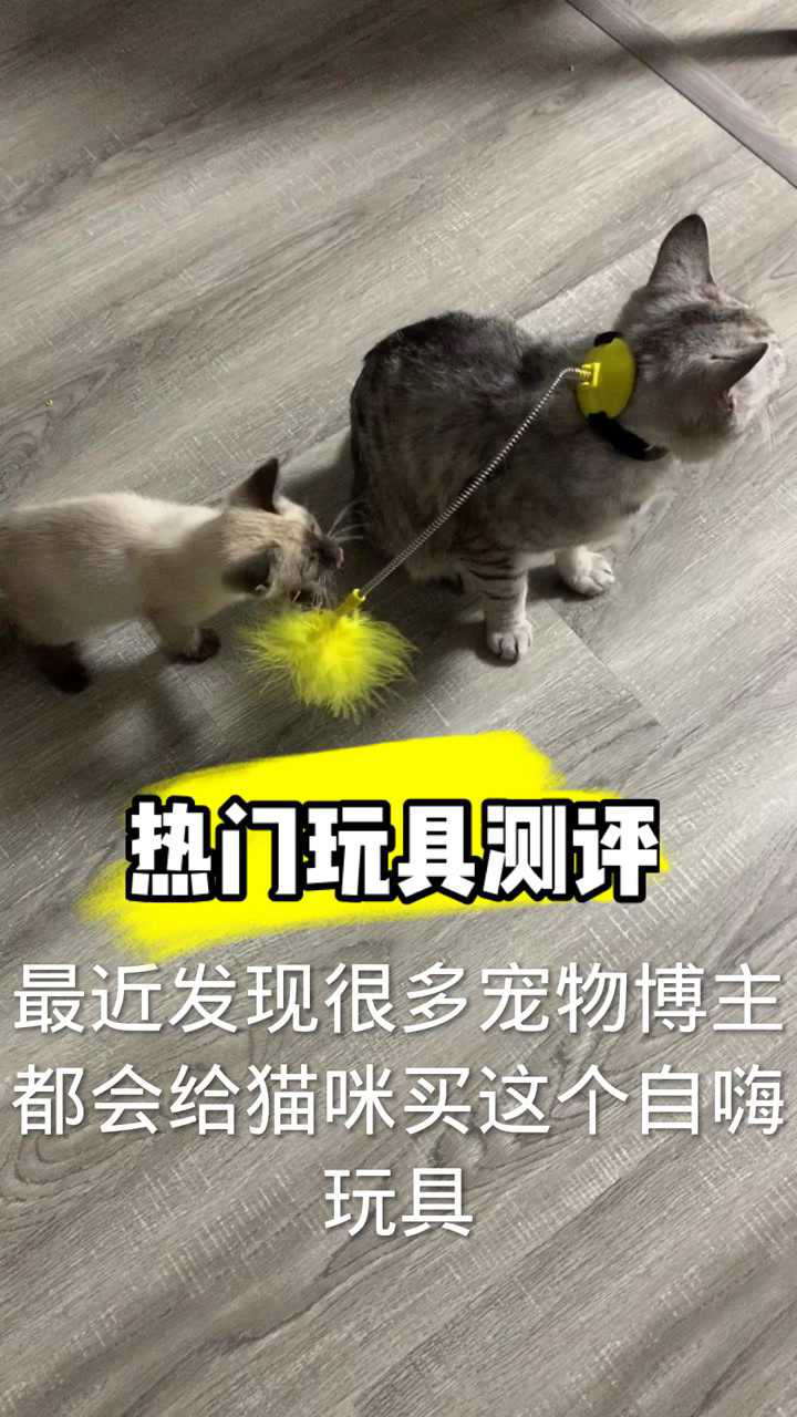 热门玩具测评腾讯视频