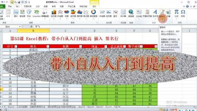 第53课 Excel教程:带小白从入门到提高 插入 签名行